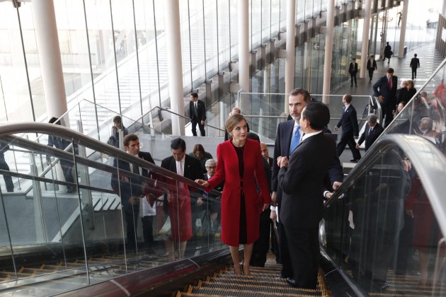 Letizia escalera trepa GTRES Letizia escalera trepa GTRES