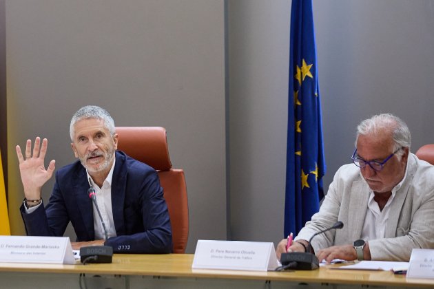 Fernando Grande-Marlaska defensa que la policia actua sota "el sotmetiment a l'ordenament jurídic"