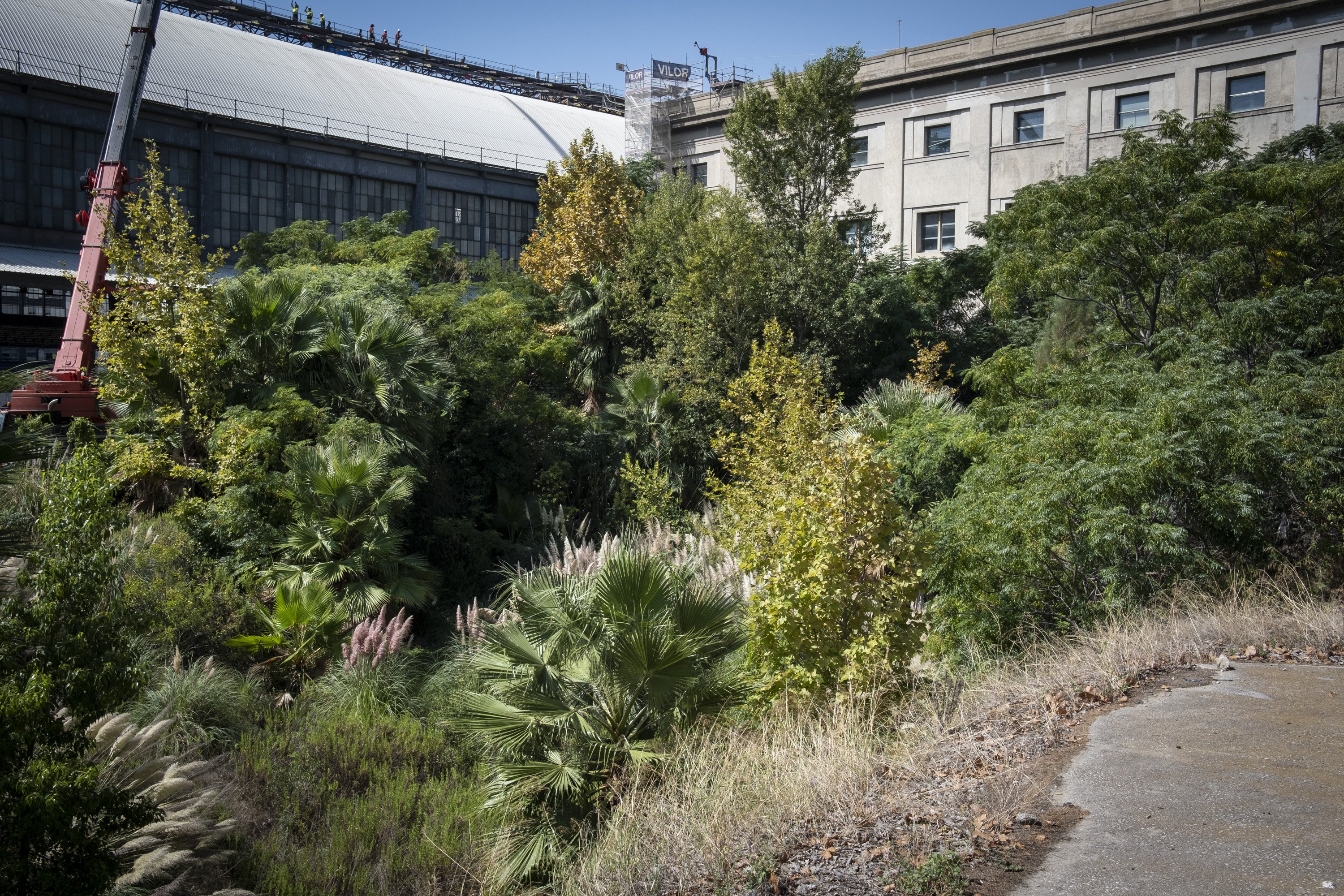 La Biblioteca de l’Estat es construirà sobre restes de l’antiga muralla i el Rec Comtal