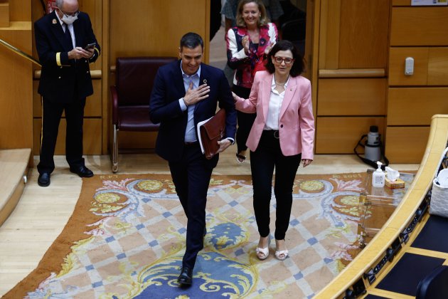 Ple senat Madrid Pedro Sánchez president Govern arribada / Foto: Efe