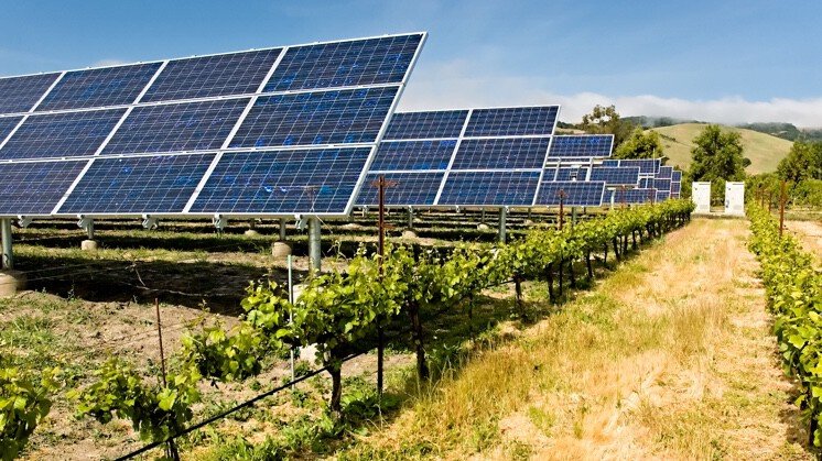 Placas solares en un campo de cultivo