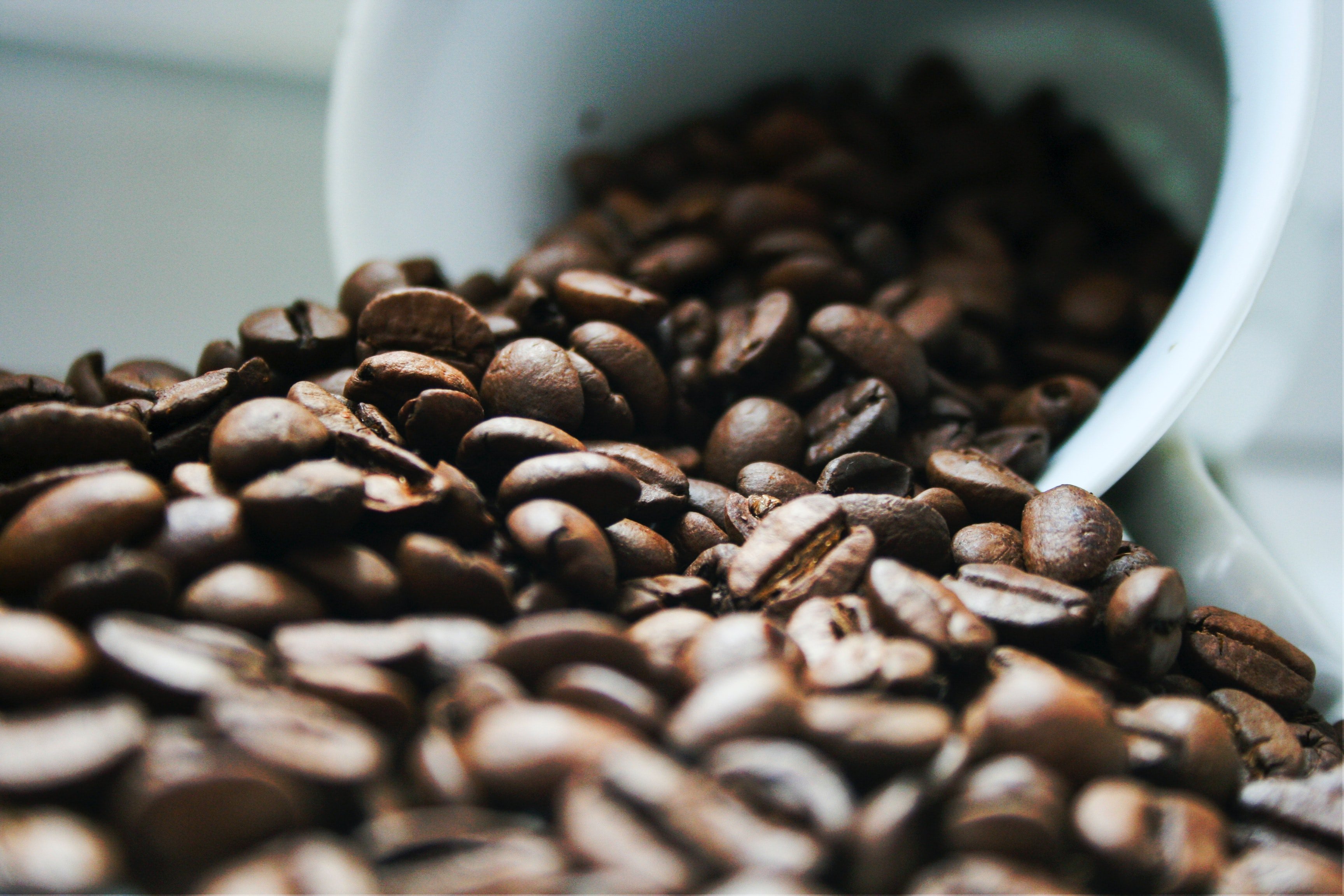 Lidl está revolucionando la forma de tomar café: novedad a punto de agotarse en toda España