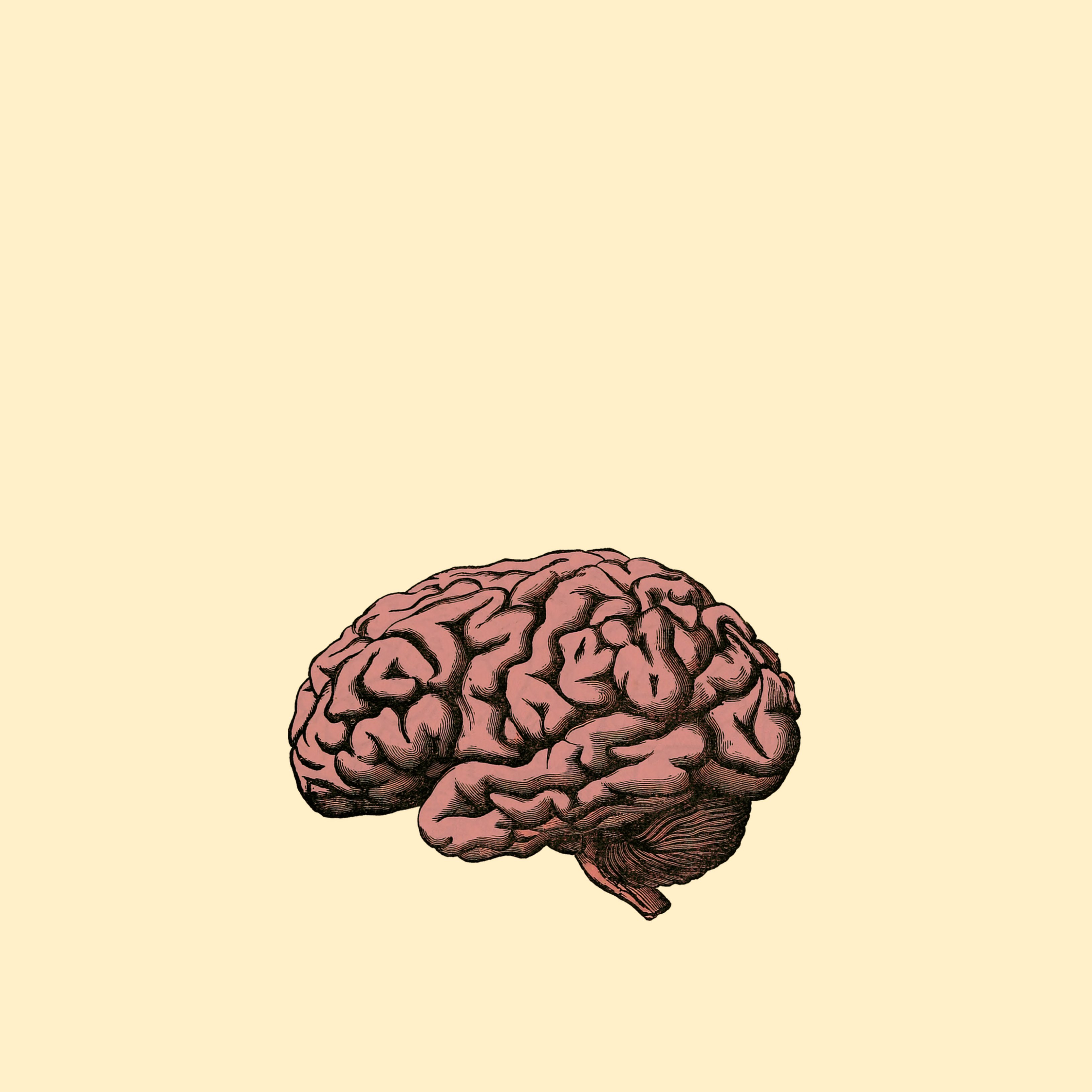 Los 4 tipos de memoria que tenemos y cómo les afecta el Alzheimer