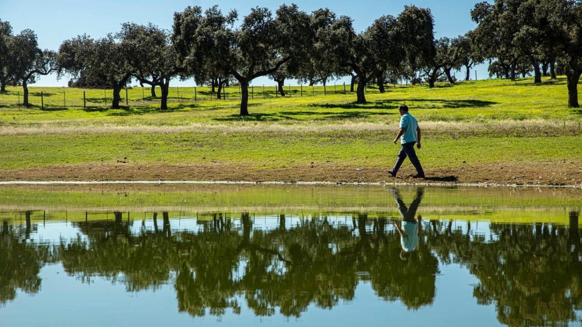 El 80% de los cultivos agrícolas que abastecen a Unilever es 100% sostenible