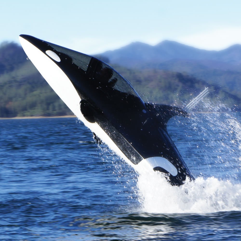 Hi ha un nou submarí igual que una orca