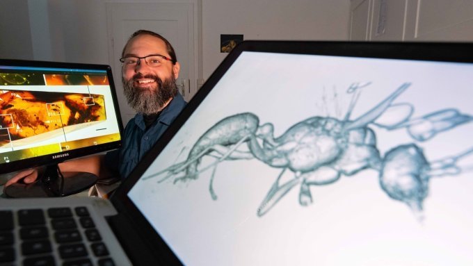 nueva especie de hormiga nueva especie de hormiga