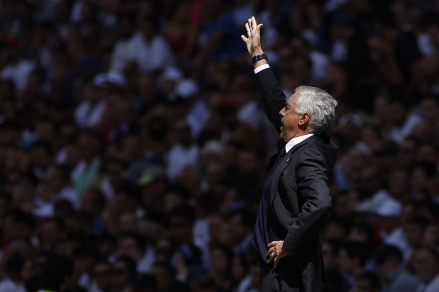 Carlo Ancelotti Real Madrid / Foto: EFE Carlo Ancelotti Real Madrid / Foto: EFE