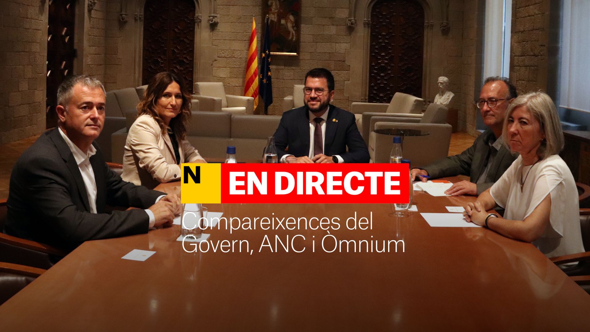 Compareixença de Dolors Feliu després de la reunió amb el Govern | DIRECTE