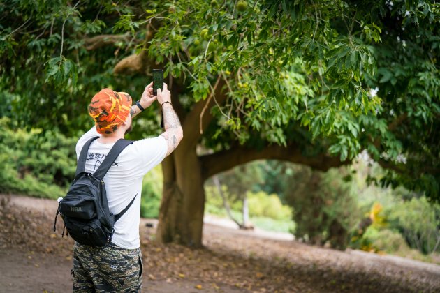 Un hombre saca una foto a un árbol / Unsplash