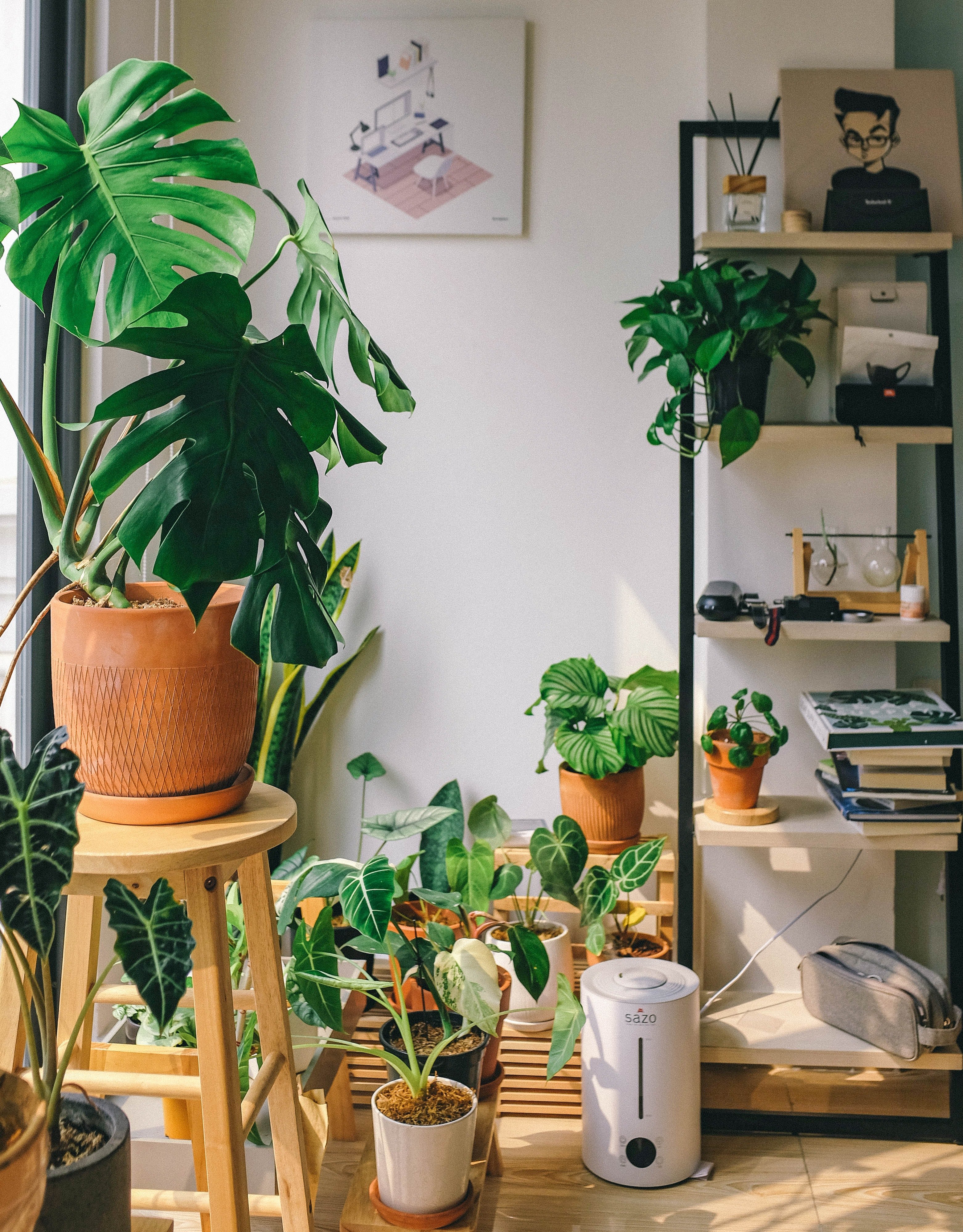 Plantes d'interior o una selva dins de casa: una tendència que ha vingut per quedar-se?