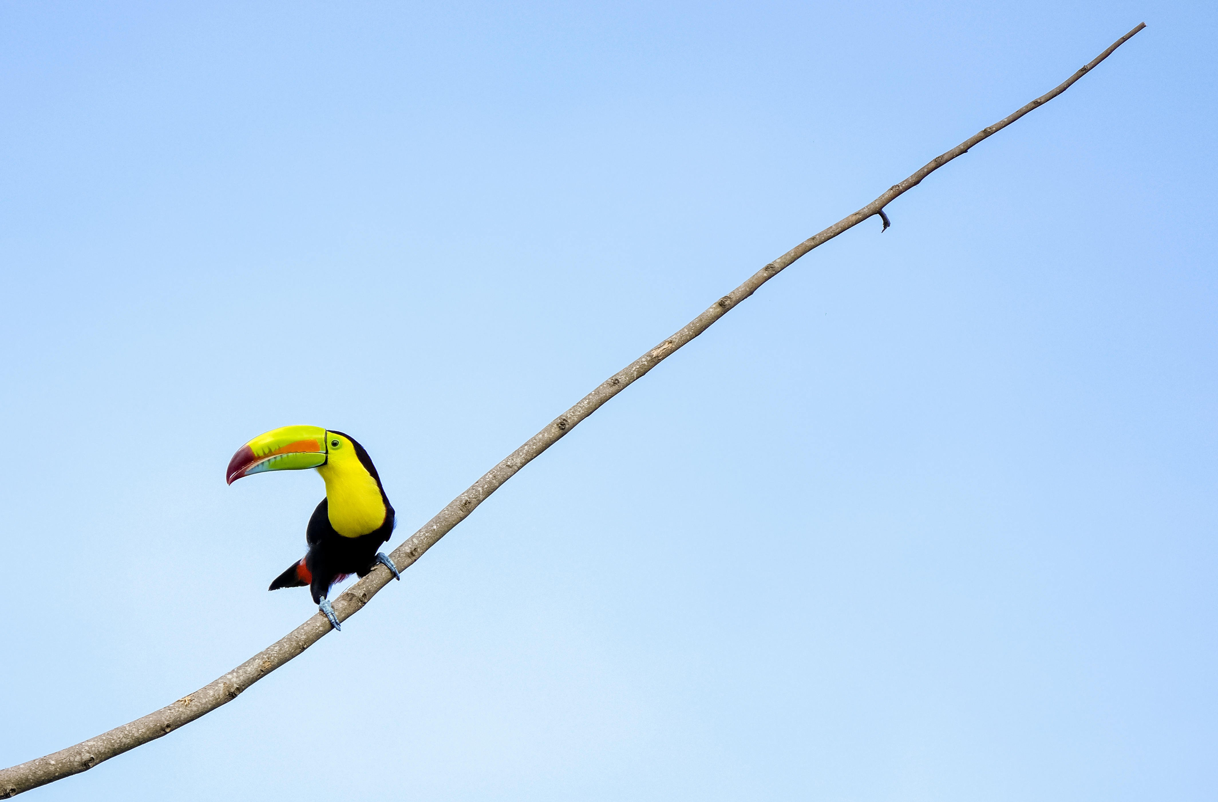 Sant Josep (Costa Rica)