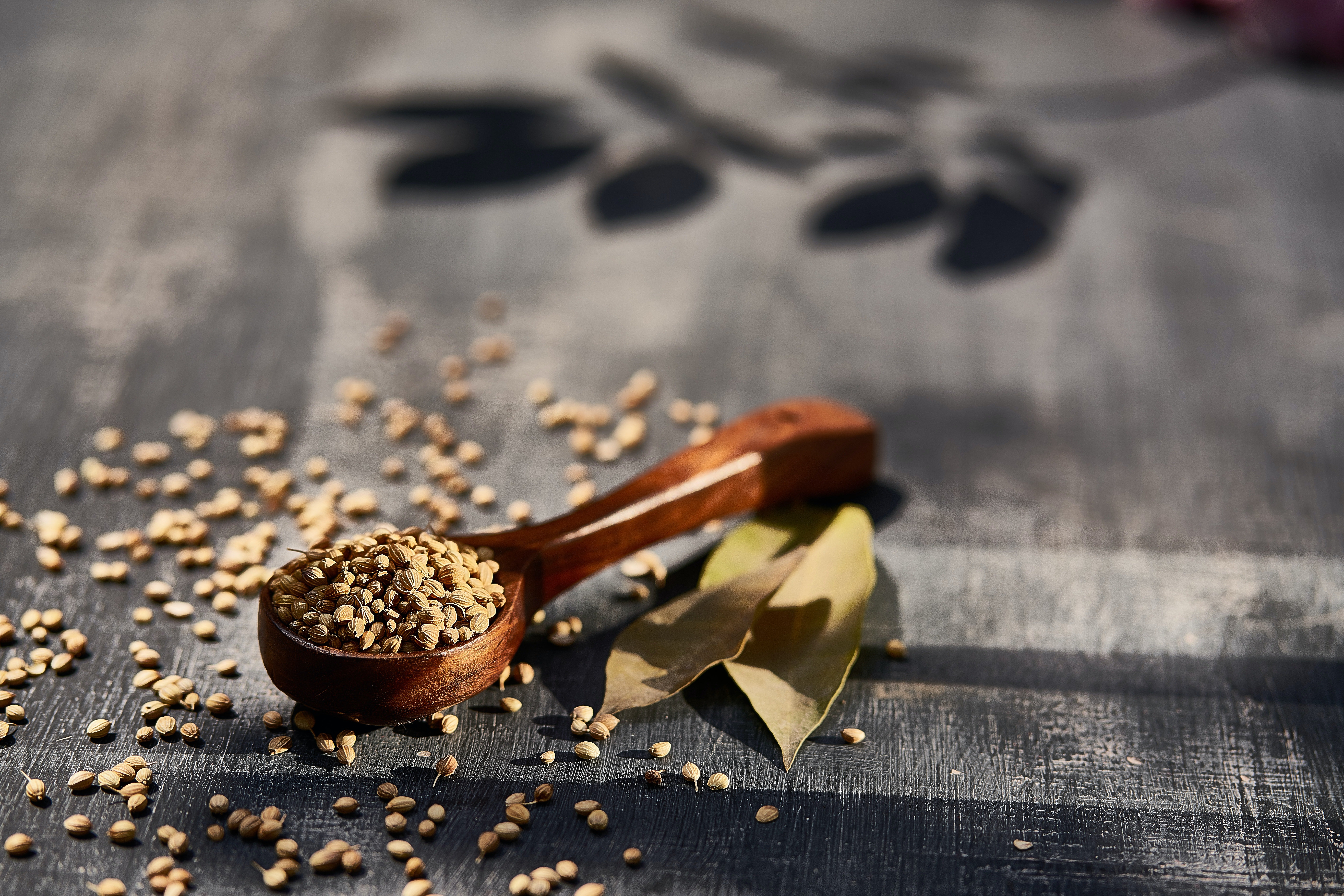 Cuchara con semillas / Unsplash Cuchara con semillas / Unsplash
