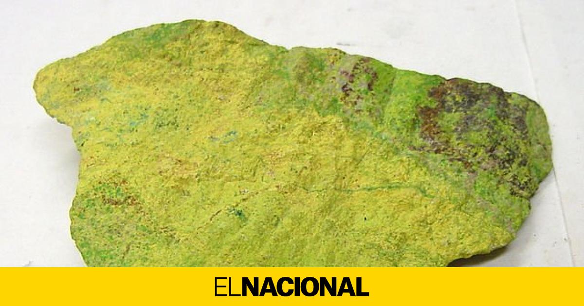 www.elnacional.cat