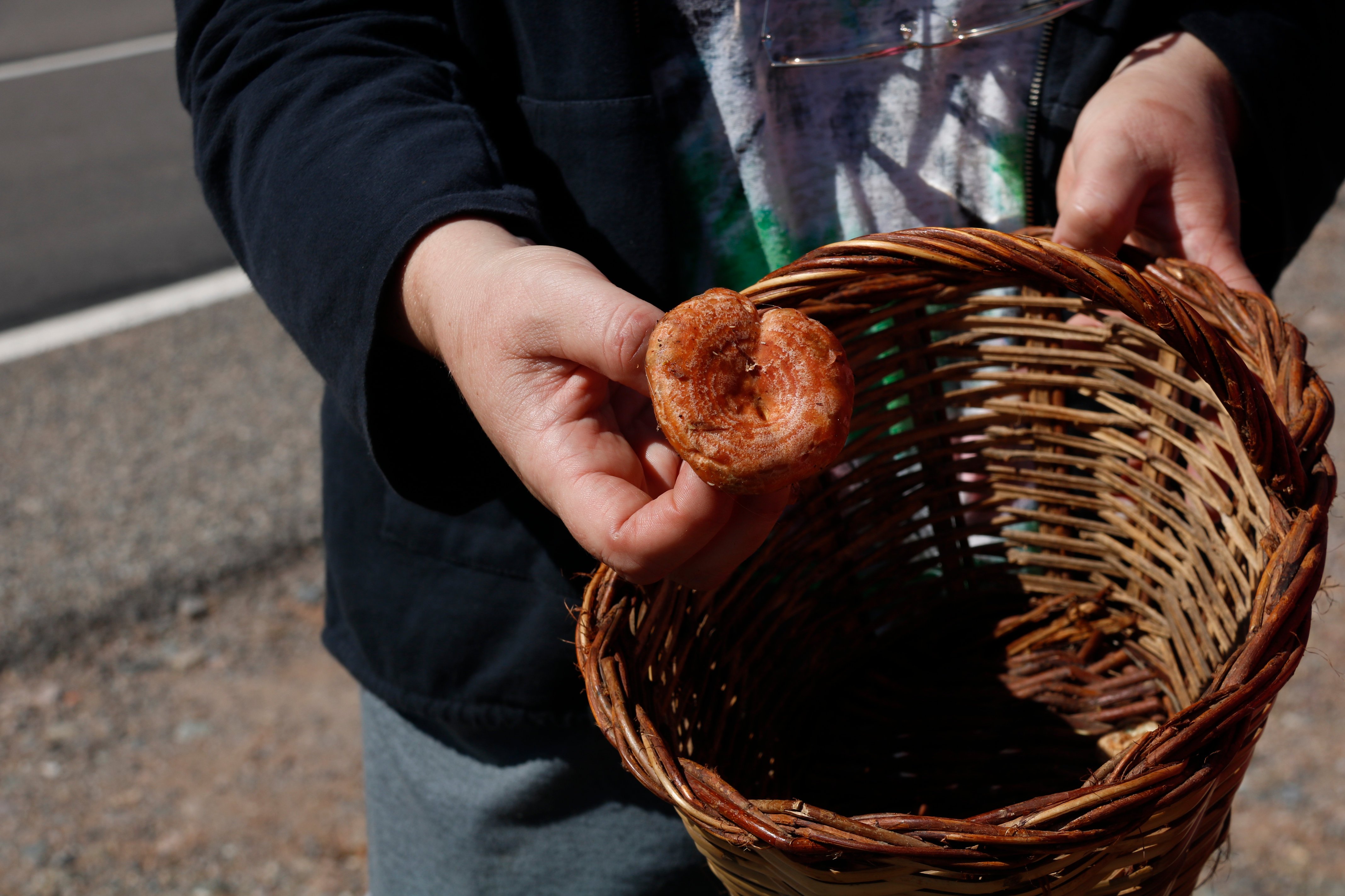 El municipio de Alins crea una tasa para los buscadores de setas: precio fijo y cantidades limitadas