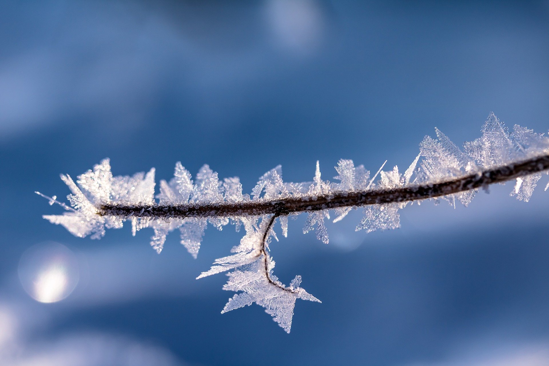 Dimarts assolellat però molt fred!