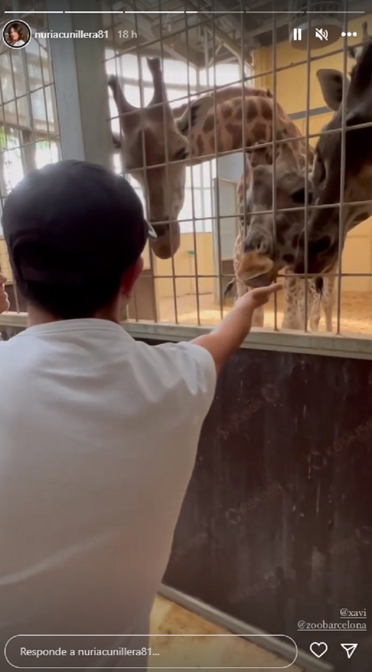 Xavi donant menjar a girafas