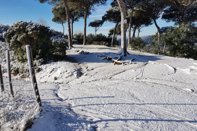 Neu LA Conreria