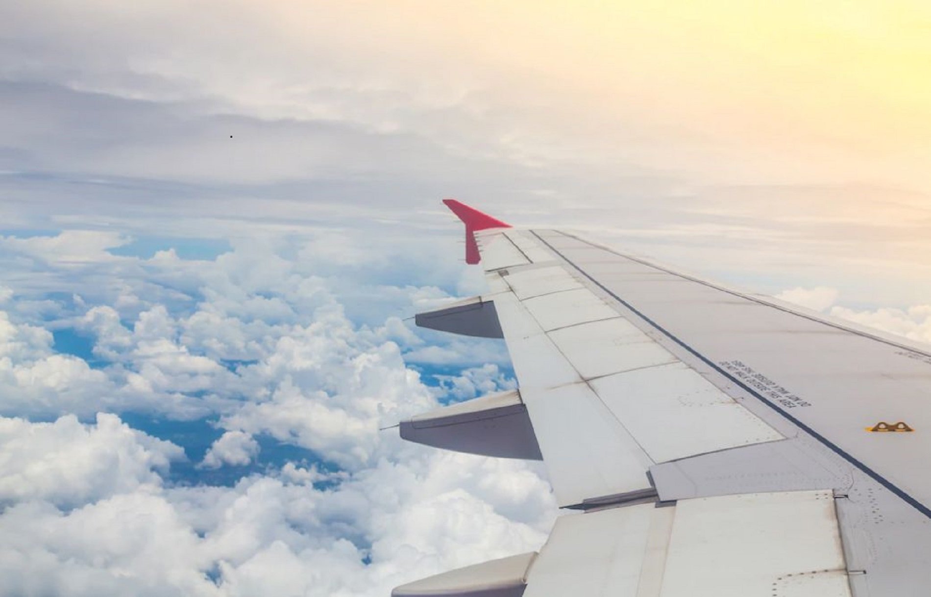 Easyjet estableix un pla de ruta per assolir les zero emissions netes el 2050