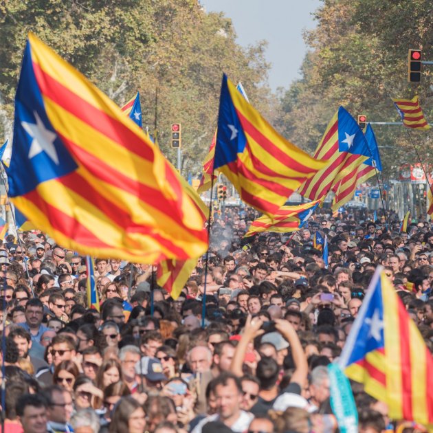 Manifestació ANC i Òmnium ciutadella suport govern i proclamació de la república DUI laura gómez (1)