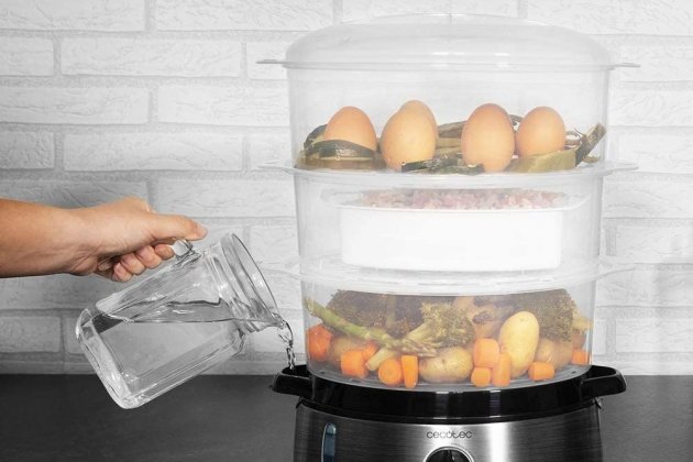 Vaporera de Cecotec1