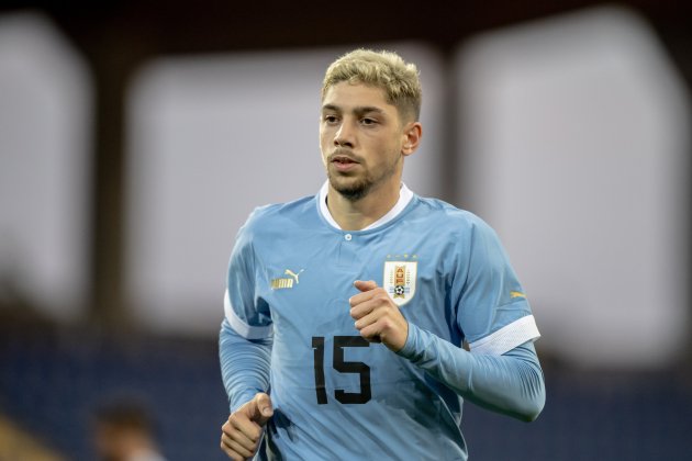 Fede Valverde selección Uruguay / Foto: EFE Fede Valverde selección Uruguay / Foto: EFE