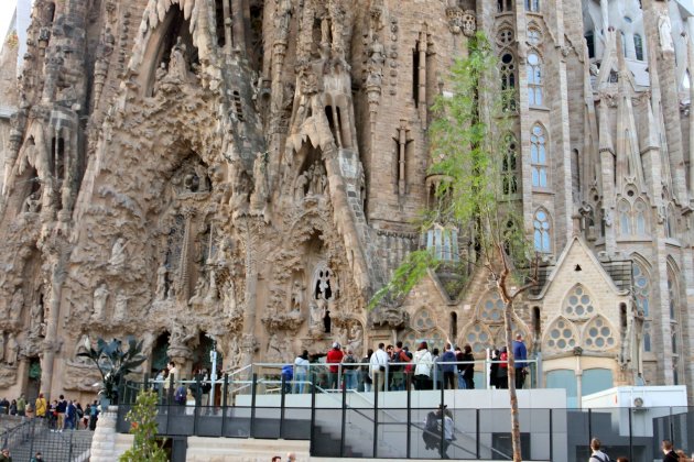 sagrada familia-acn