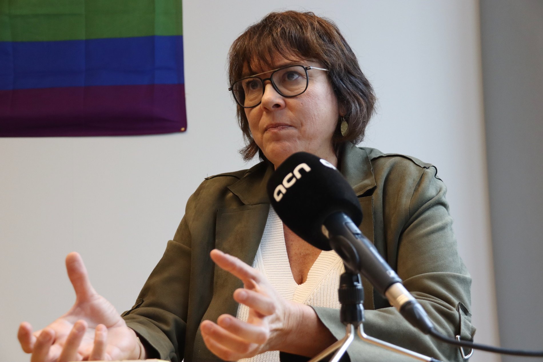 Diana Riba sobre el català a l'Eurocambra: "Les majories estan molt ajustades"