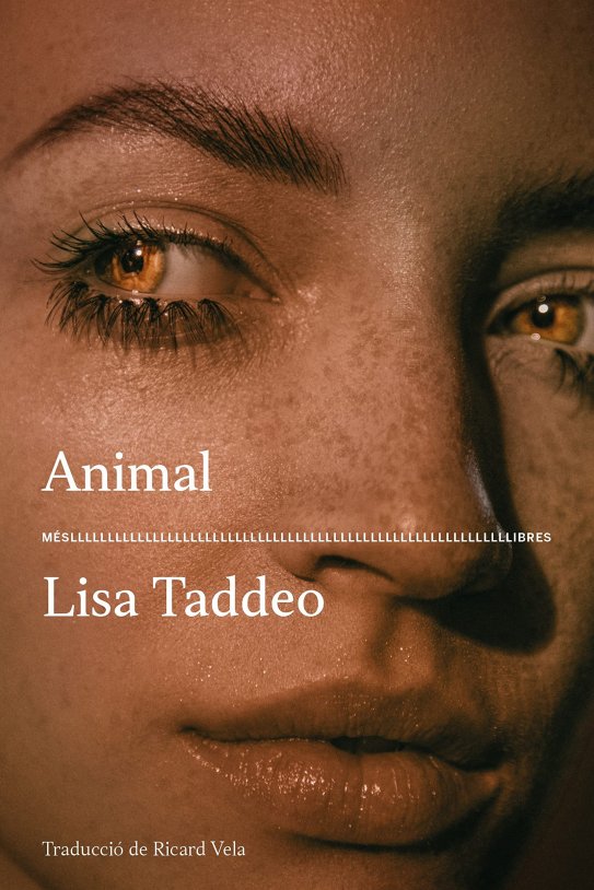 animal lisa taddeo