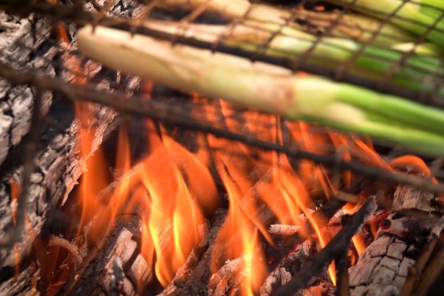 CALÇOTS A LA LLENYA - roberto lazaro_01