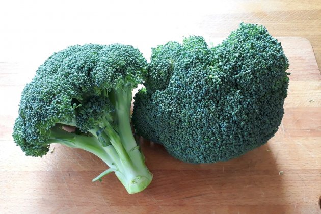 Brócoli Brócoli