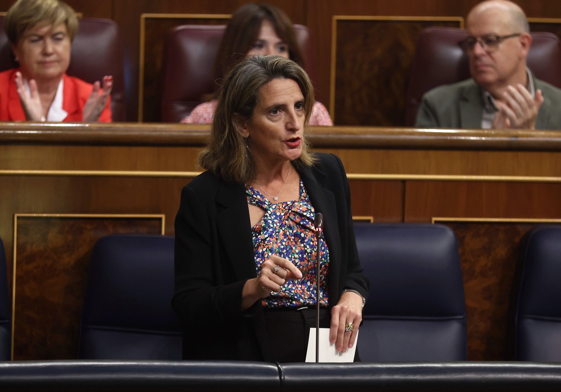 La vicepresidenta del govern espanyol i ministra per a la transformació ecològica i el repte demogràfic, Teresa Ribera |Foto: Europa Press