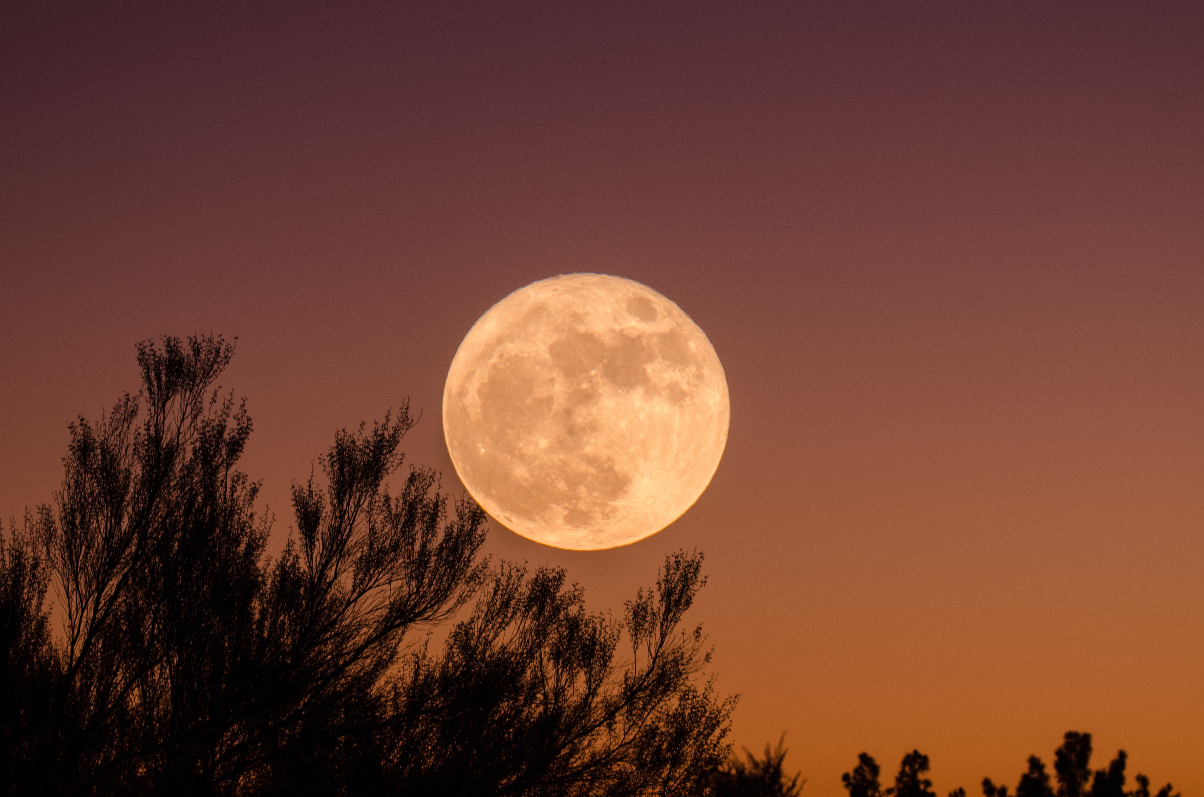 Luna llena octubre 2022: cuándo es y desde dónde ver la "luna del Cazador"