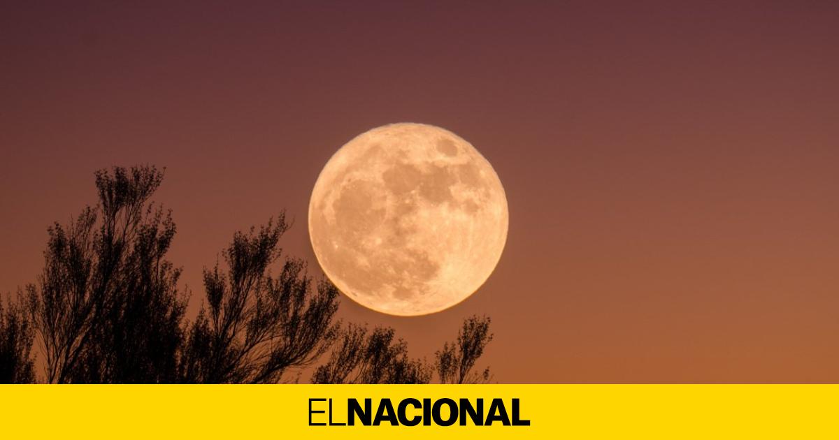 Luna Llena Octubre 2022 Cuándo Es y Dónde Verla