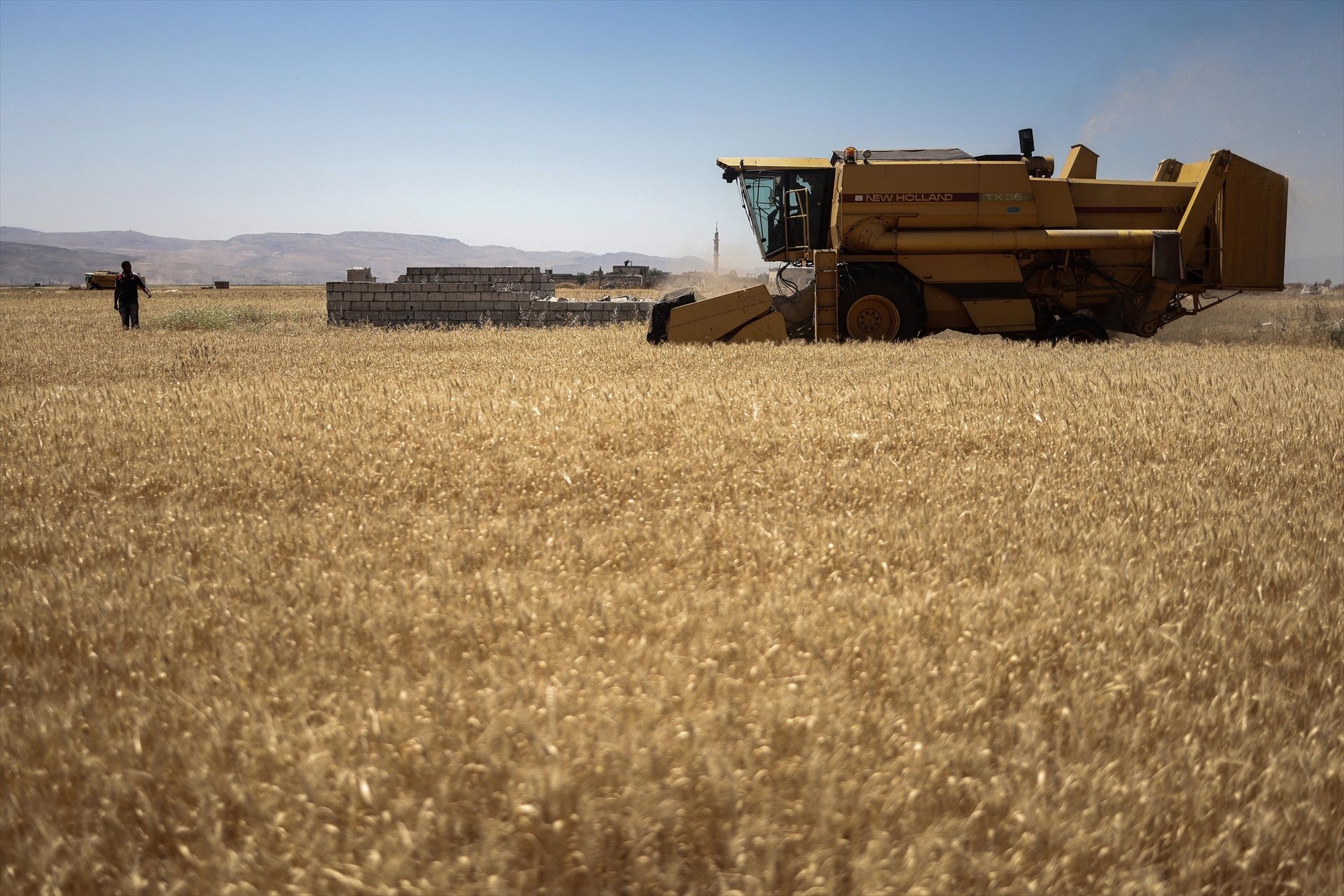 Aquests són els aliments bàsics que més han baixat de preu