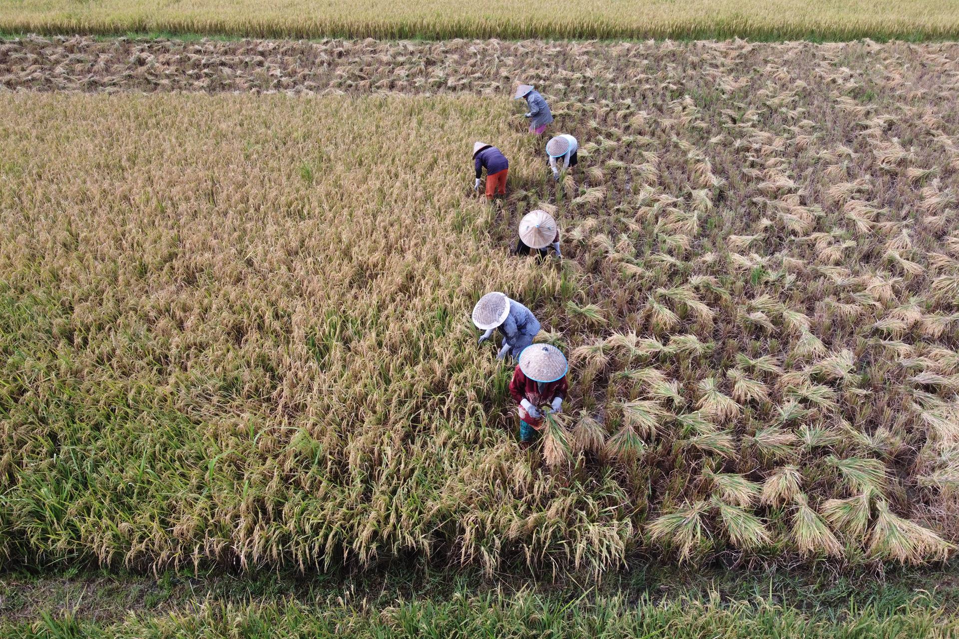 Aceh Besar (Indonesia)