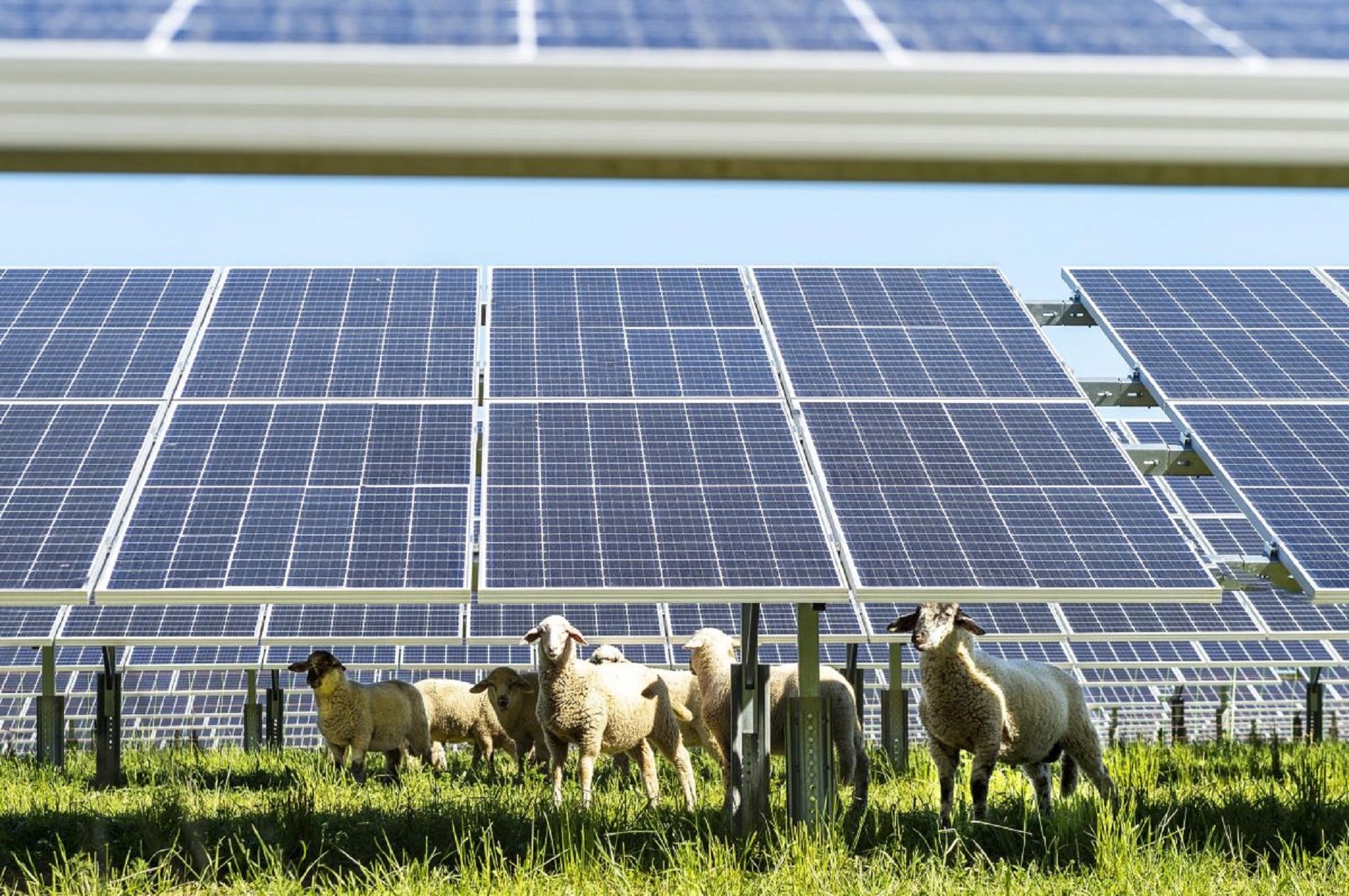 La UNEF asegura que la fotovoltaica puede permitir "atraer nuevas industrias"
