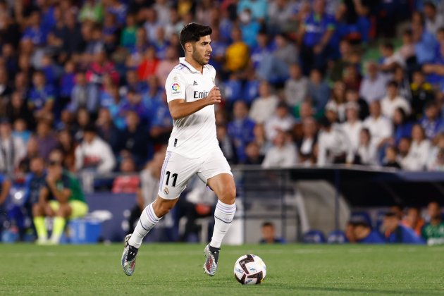 Marco Asensio cono el Real Madrid / Foto: Europa Press