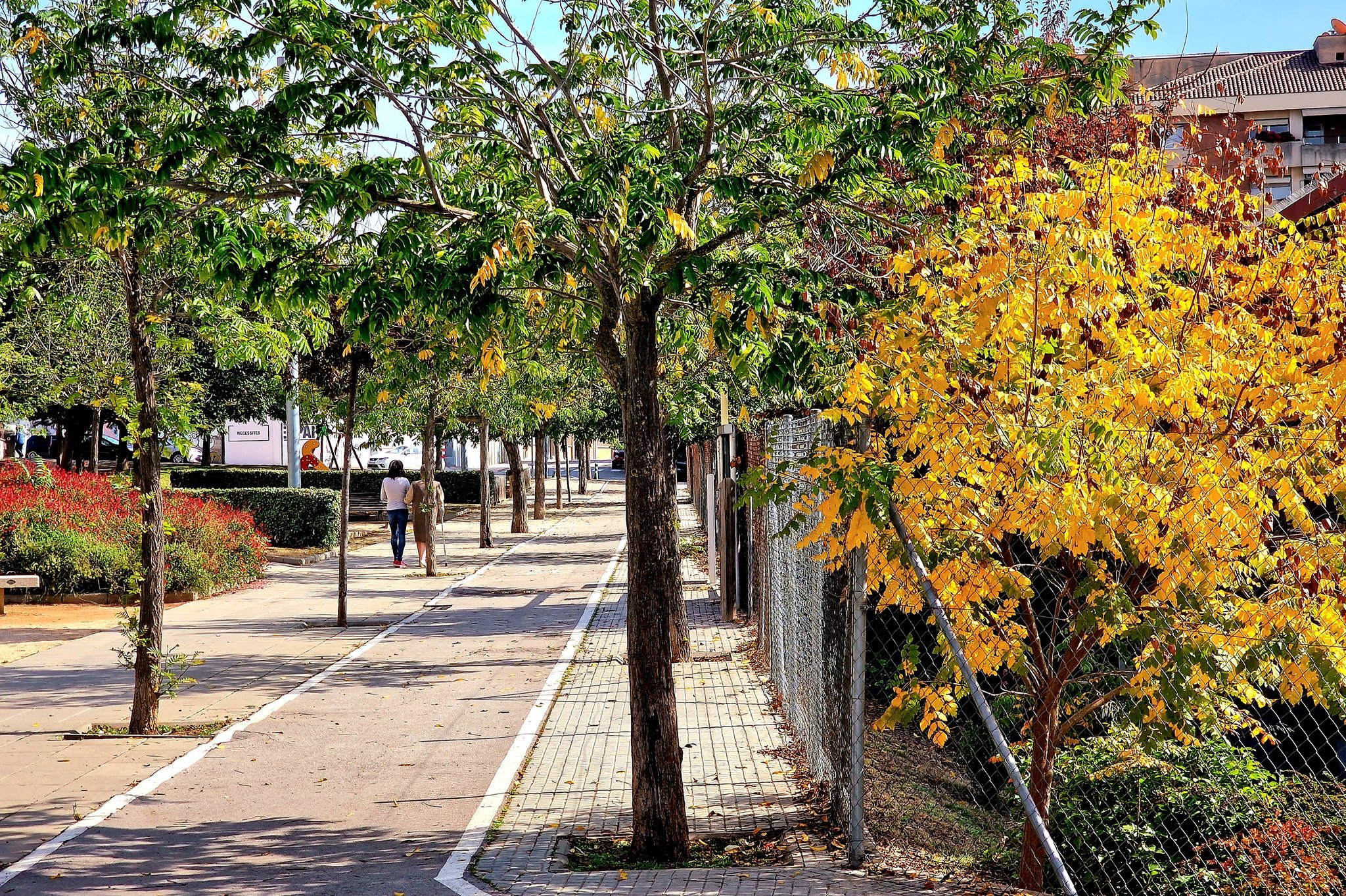 Els colors de la tardor tenyeixen la ciutat de Manresa Foto @jordips20 Twitter Els colors de la tardor tenyeixen la ciutat de Manresa Foto @jordips20 Twitter