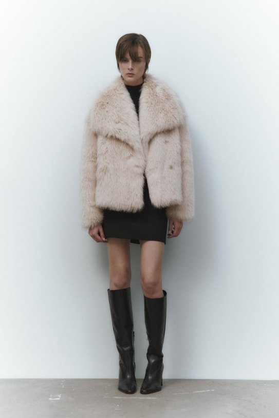 Cazadora de Zara Cazadora de Zara