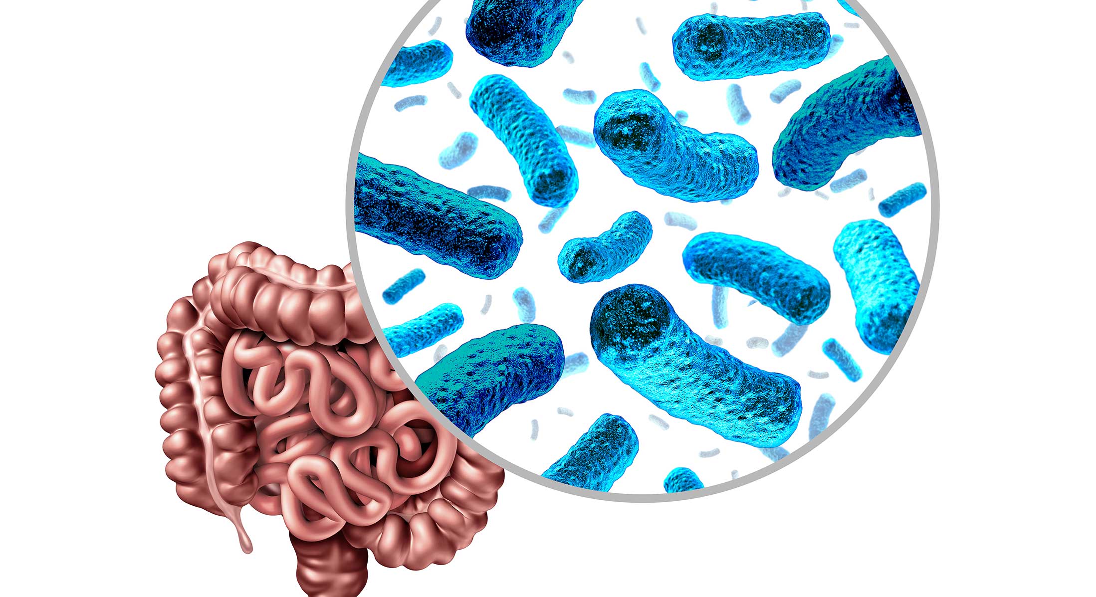 Consejos para mejorar la microbiota intestinal