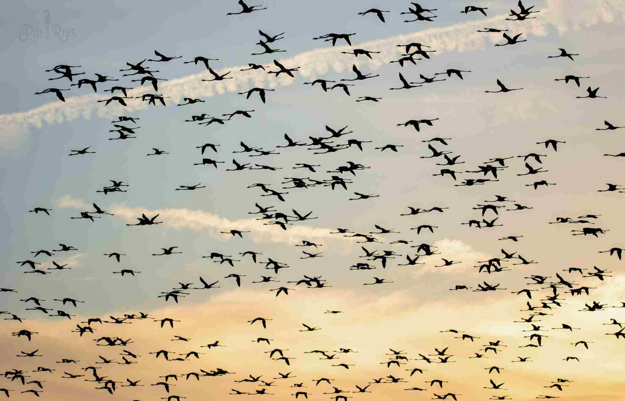 Arriba un canvi de temps / TWITTER @piliriuss Arriba un canvi de temps / TWITTER @piliriuss
