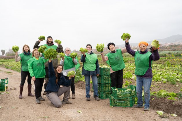 2ª Maratón de Espigadas #JOESPIGOLO