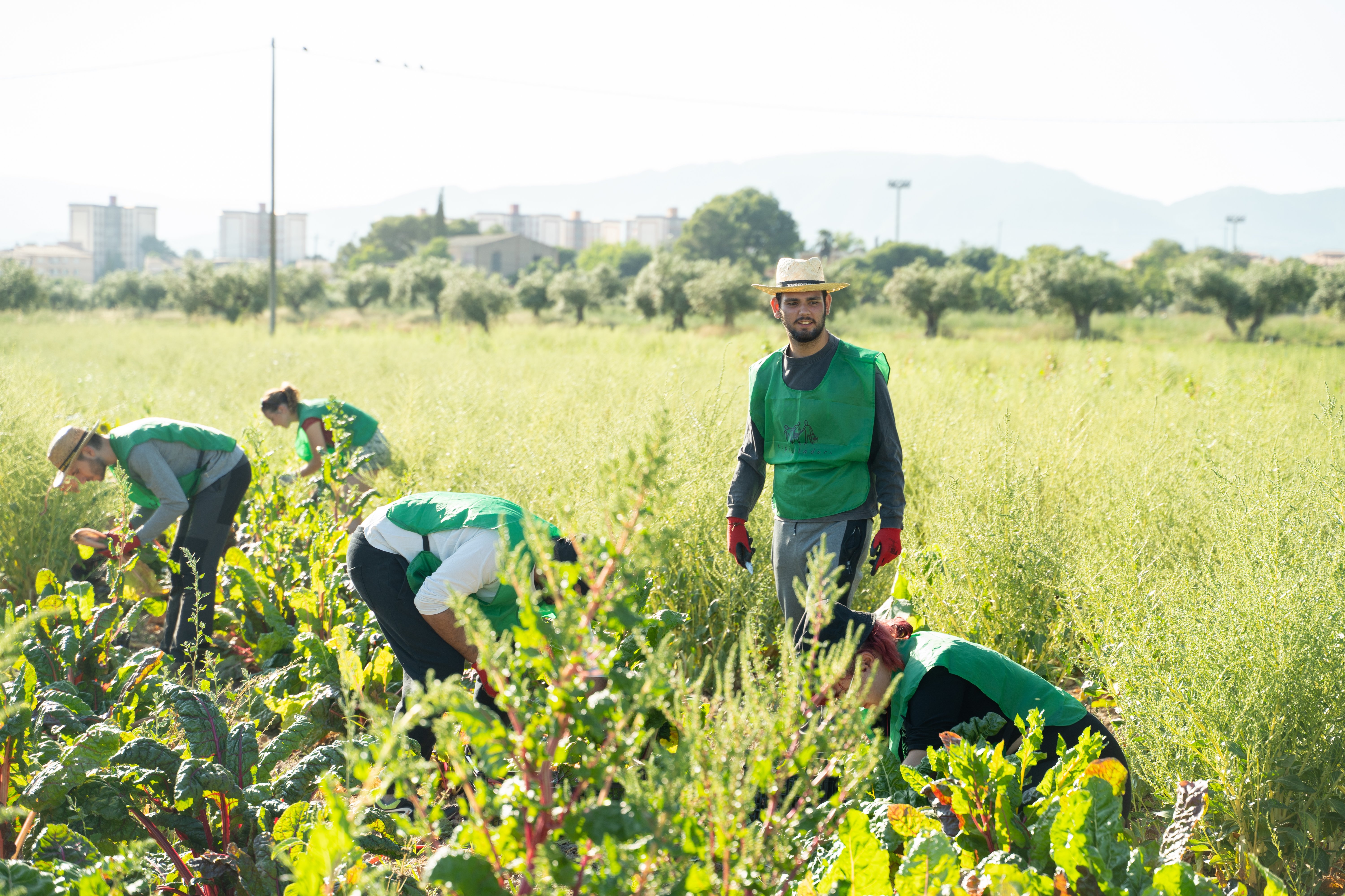 ¡La lucha continúa! Comida de aprovechamiento y maratón de Espigadas
