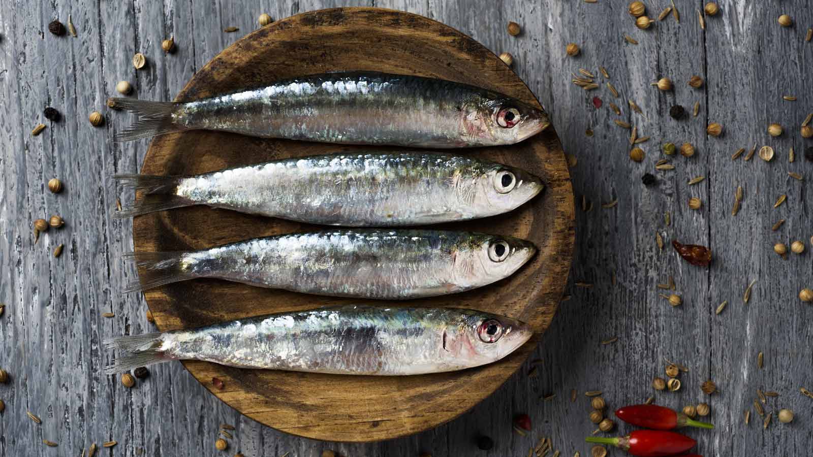 Peix blau o peix blanc: què menjar aquesta tardor?