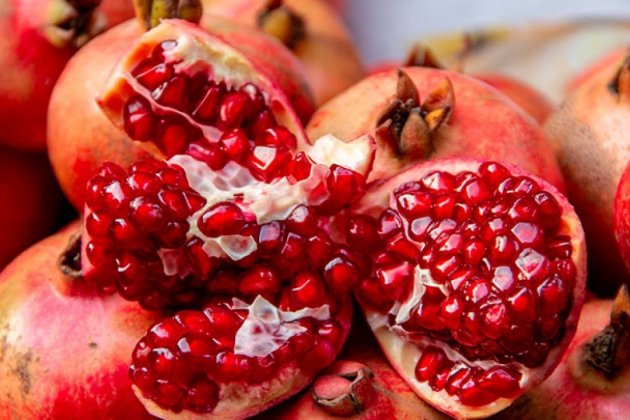 Alimentos Otoño Alimentos Otoño