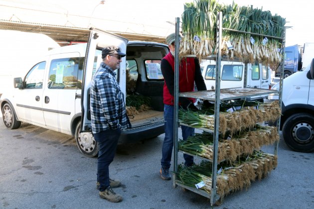 calçots mercabarna ACN