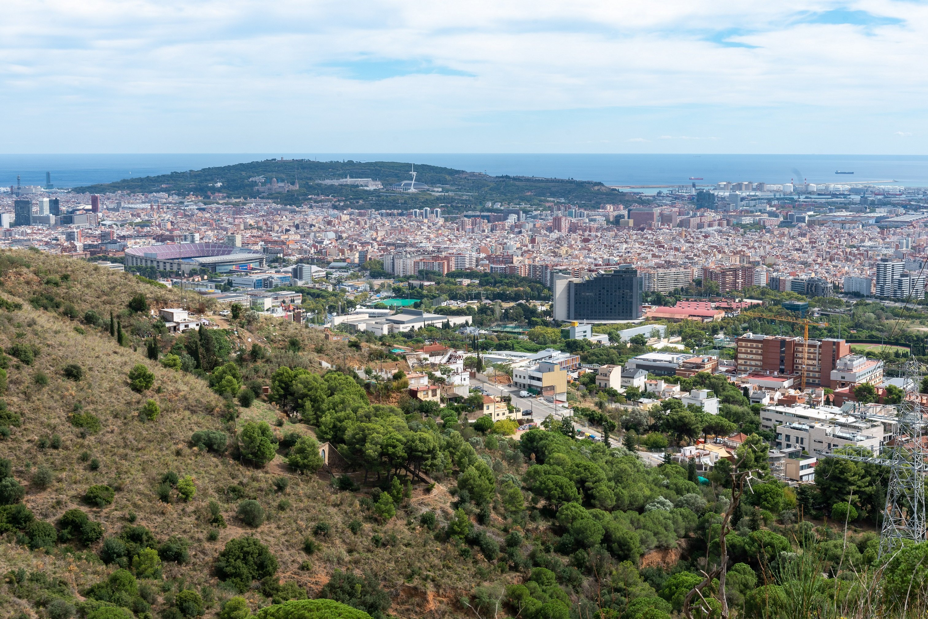 Contra el cambio climático, gestión de bosques metropolitanos