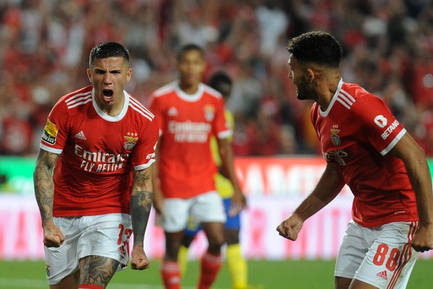 Enzo Fernandez Benfica