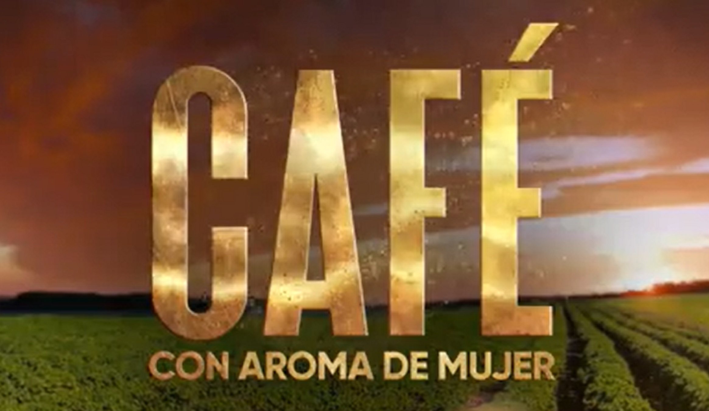 Café con Aroma de Mujer   T5