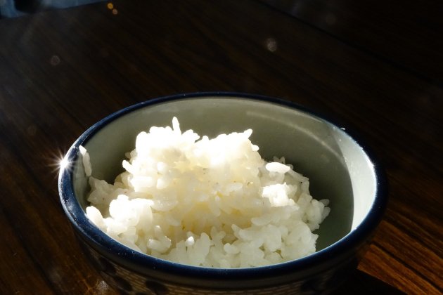 Plato de arroz / Foto: Unsplash